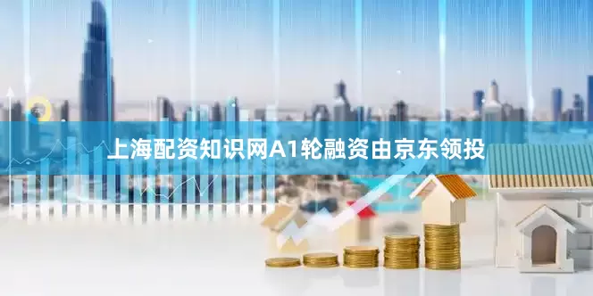 上海配资知识网A1轮融资由京东领投