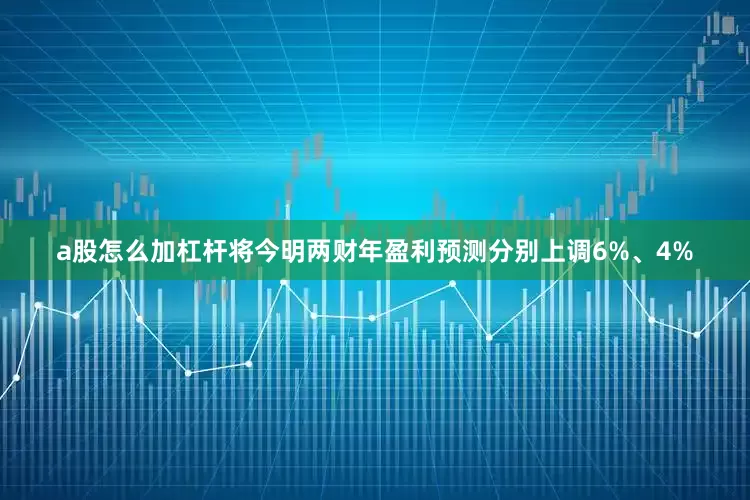 a股怎么加杠杆将今明两财年盈利预测分别上调6%、4%